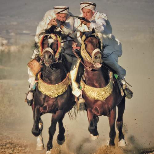 Photo #10837618