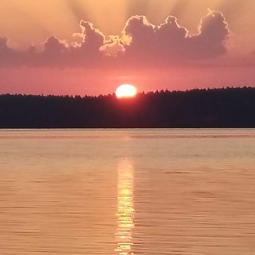 Photo #10837963