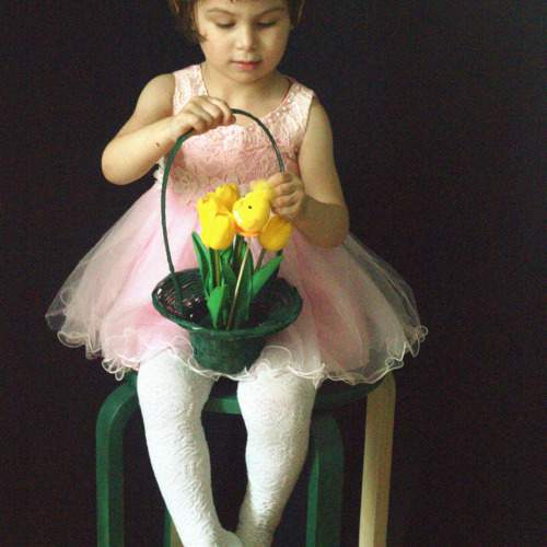 Photo #10838060