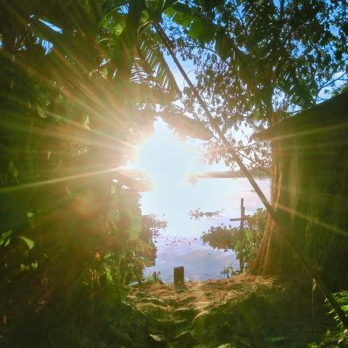 Photo #10838305