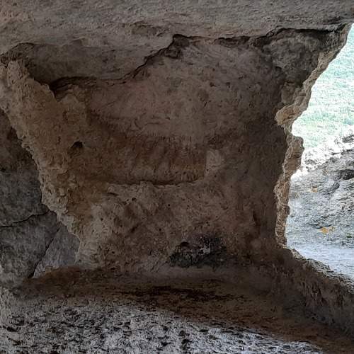 Photo #10838450