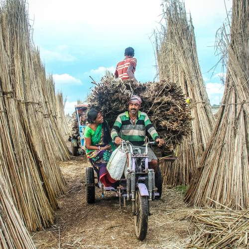 Photo #10838580