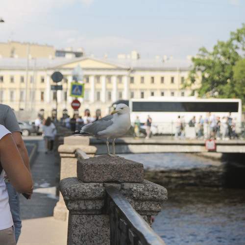 Photo #10838831