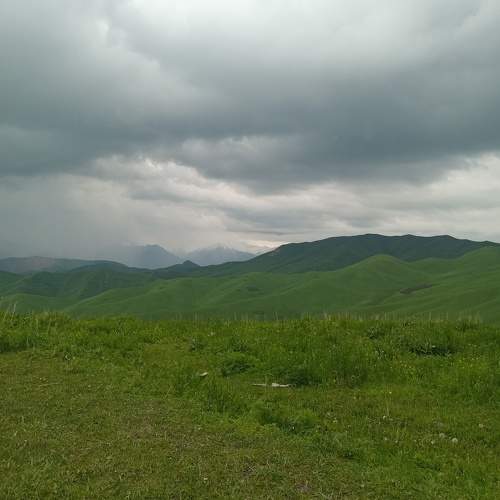 Photo #10839482