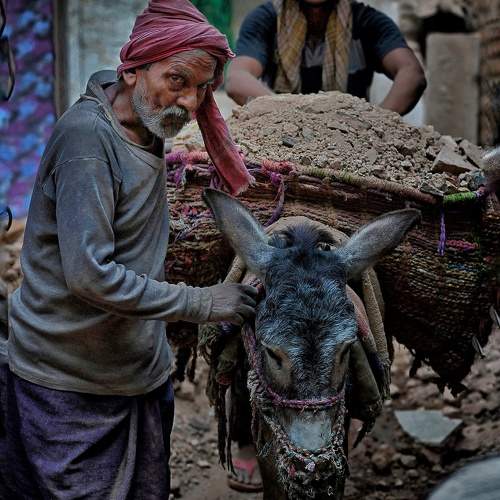 Photo #10839521