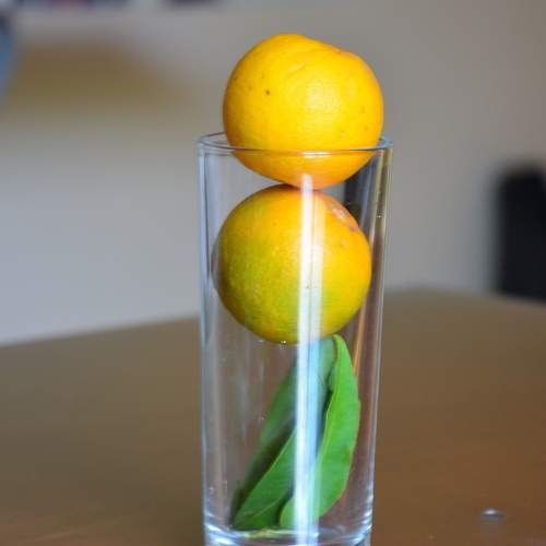 Photo #10839766