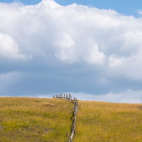Photo #10839896