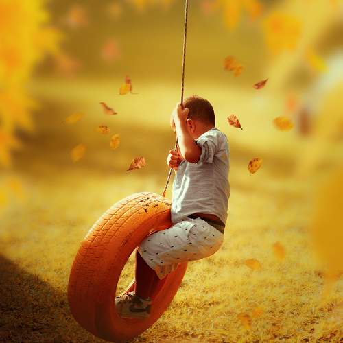 Photo #10840054