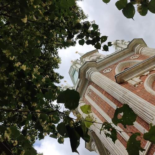 Photo #10840561