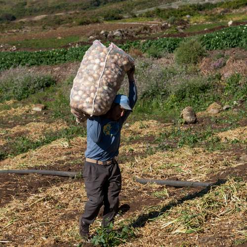 trabajador paramo venezolano