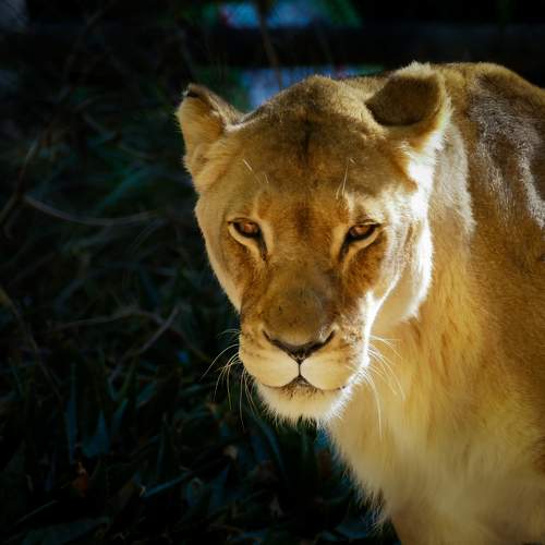 Photo #10840701