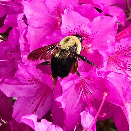 Photo #10840956
