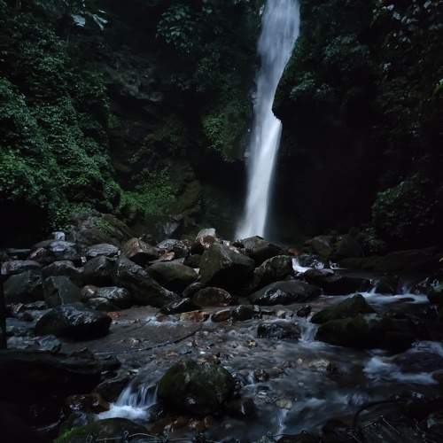 Photo #10841123