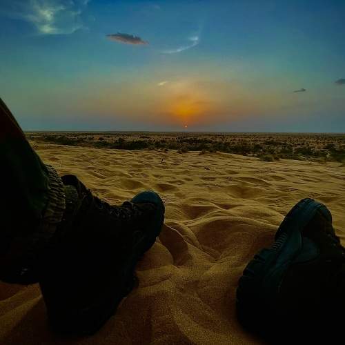 Photo #10841293