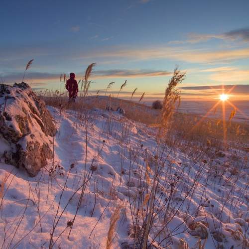 Photo #10841400