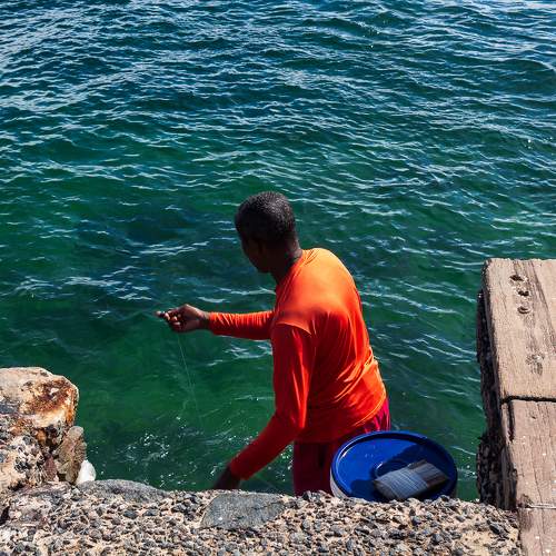 Photo #10841406