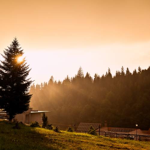 Photo #10841670