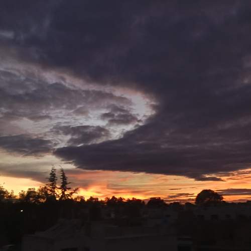 Photo #10841820