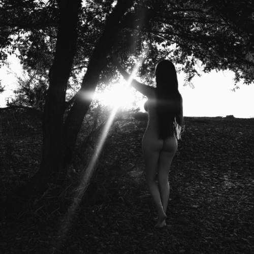 Photo #10842228