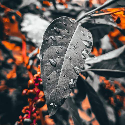 Photo #10842395