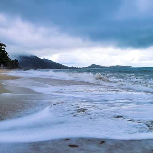 Photo #10842700