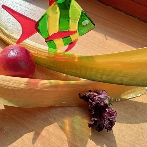 Photo #10842714