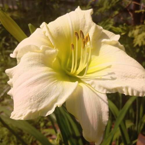 Photo #10842811