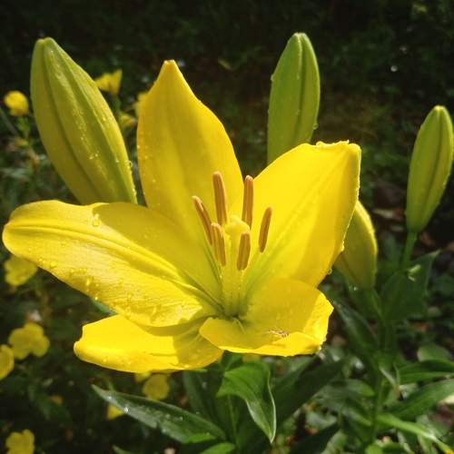 Photo #10842824