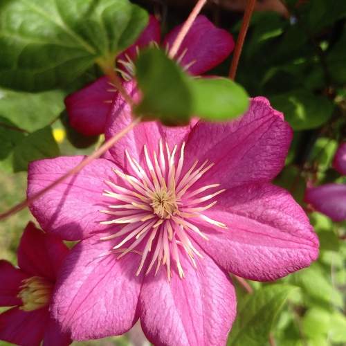 Photo #10842872