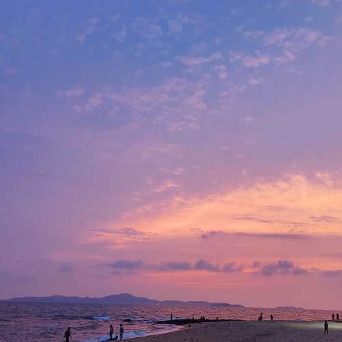 Photo #10843267