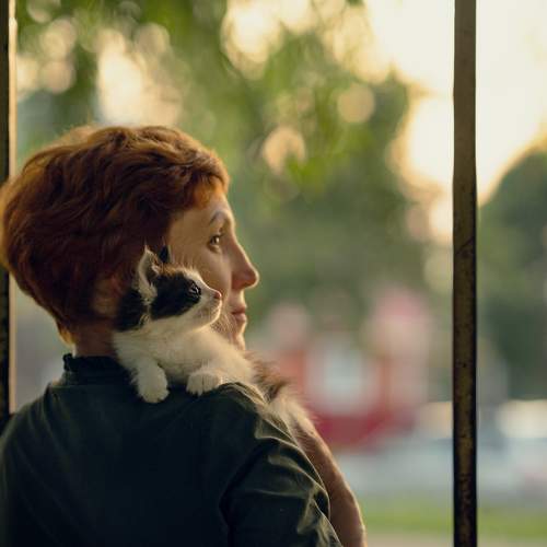 Photo #10843272