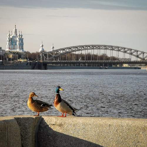 Photo #10843330