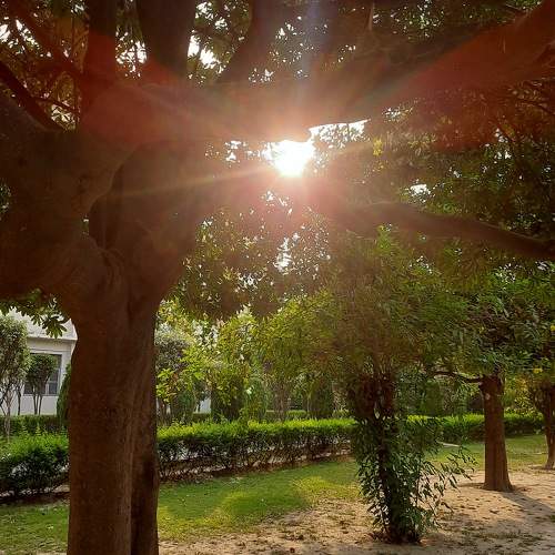 Photo #10843509