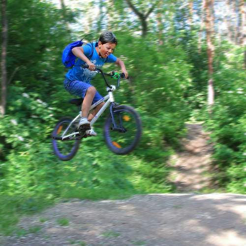 Photo #10843732