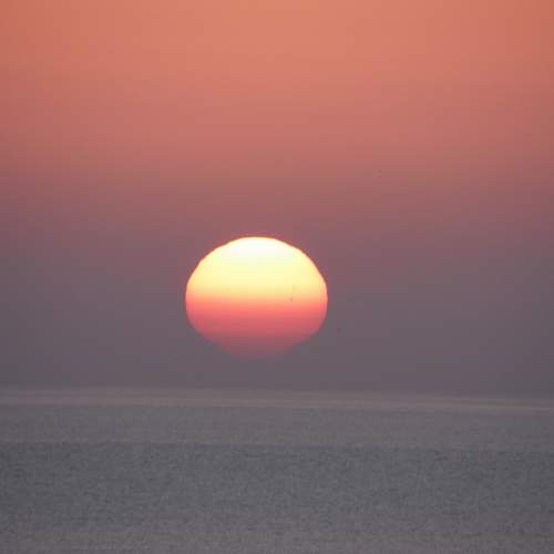 Photo #10843982