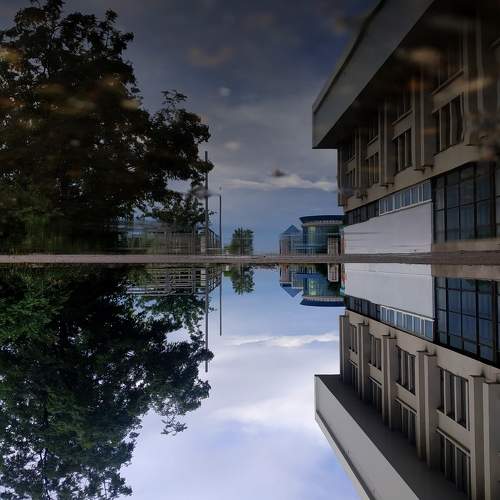 Photo #10844098