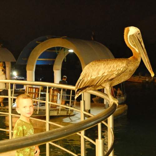 Photo #10845382