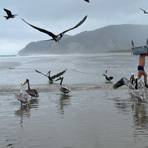 Photo #10845483