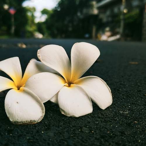 Photo #10845618