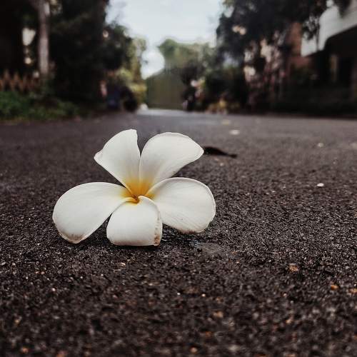 Photo #10845621