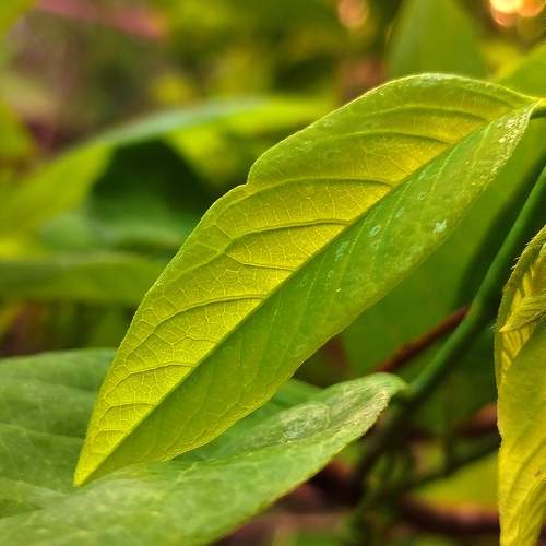 Photo #10845744