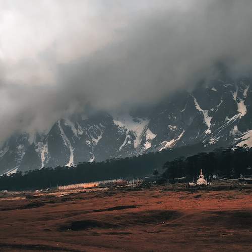 Photo #10845771