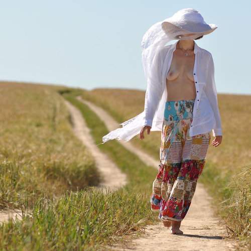 Photo #10846309