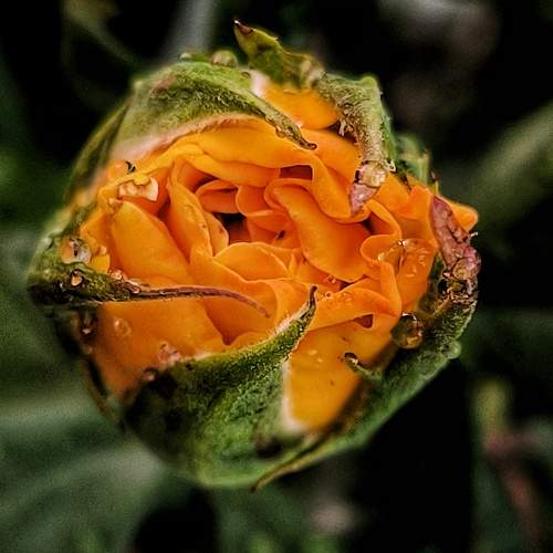 Photo #10846946