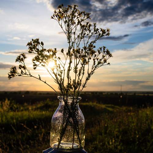 Photo #10847064