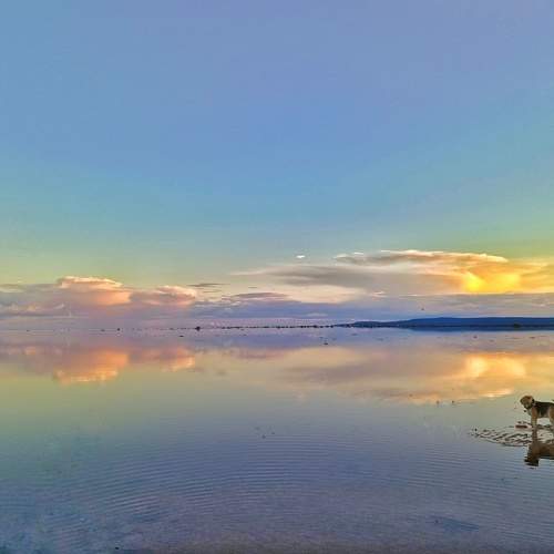 Photo #10847551