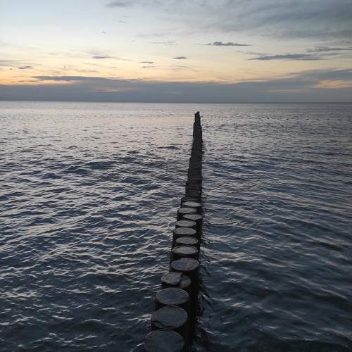 Photo #10847559