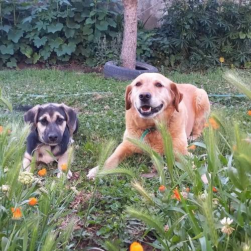 Photo #10847607