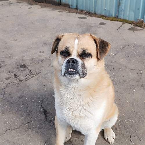 Photo #10847754