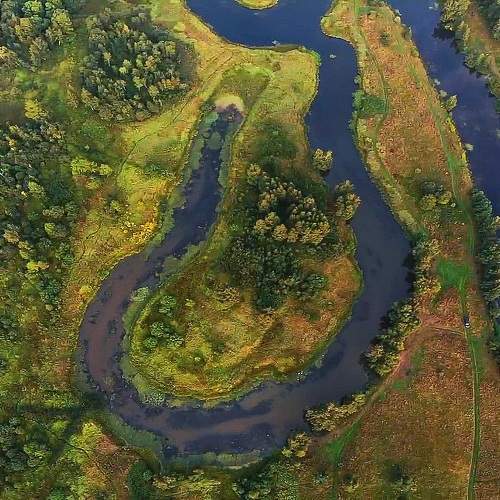 Photo #10847881
